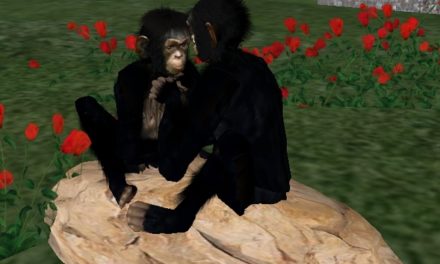 Monkey Love